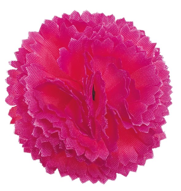 Forever Flowerz Classic Carnations Kit, Fuchsia