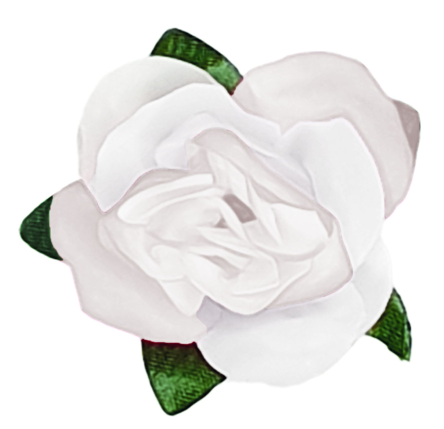 Forever Flowerz Romantic Roses Flower Kit