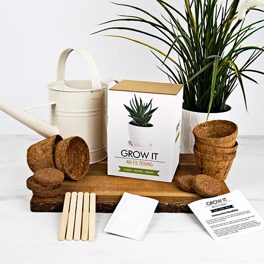 Grow Your Own Air Filtering Plant - Grow It