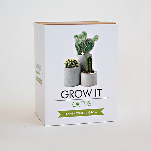 Grow Your Own Cactus - Grow Tin