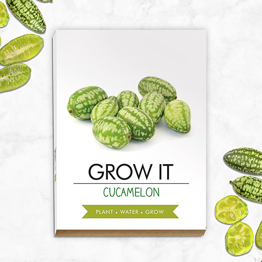 Grow Your Own Cucamelon - Grow It