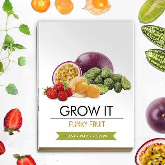 Grow Your Own Funky Fruit Kit