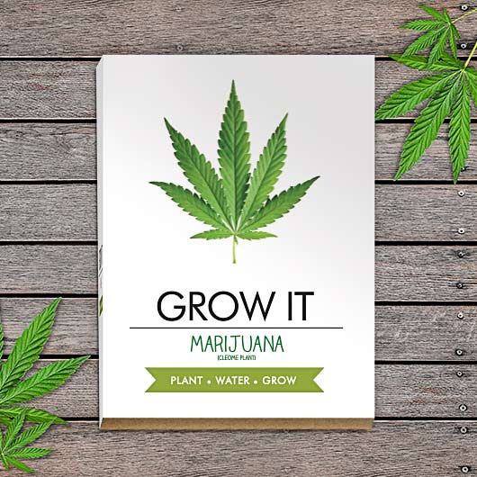 Grow Your Own Marijuana - Grow It