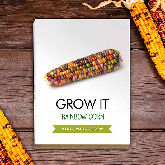 Grow Your Own Rainbow Corn Kit