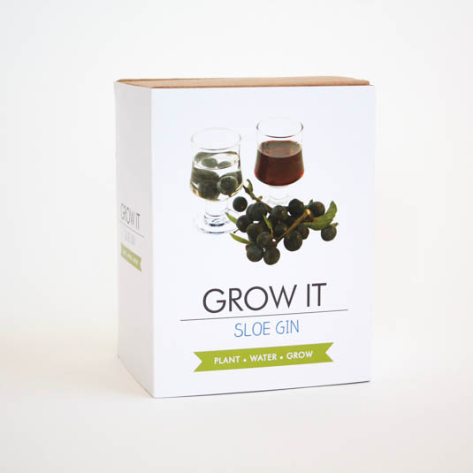 Grow Your Own Sloe Gin berries - Grow It