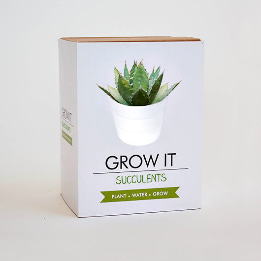 Grow Your Own Succulents - Grow It