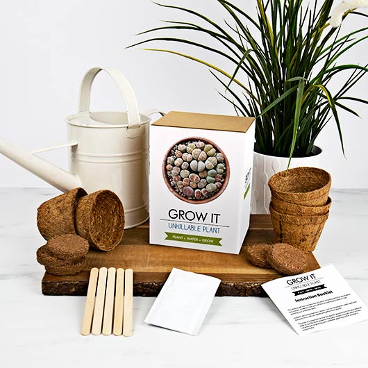 Grow Your Own Unkillable Plant - Grow It
