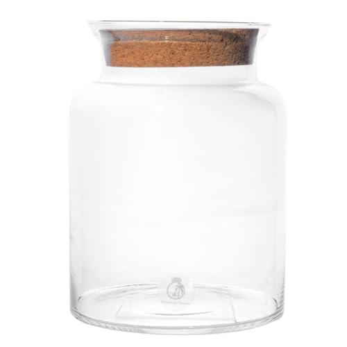 Handmade 25cm Clear Glass Terrarium with Cork Lid