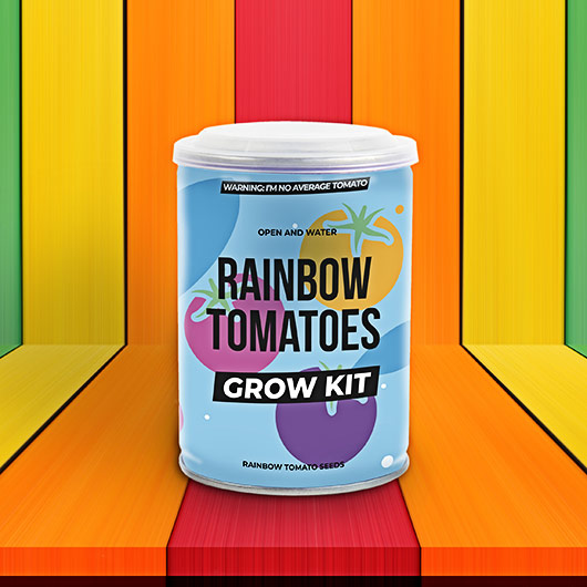 Rainbow Tomato Grow Tin