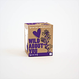 wild about you - Grow Me