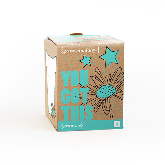 You Got This Daisy Grow Kit
